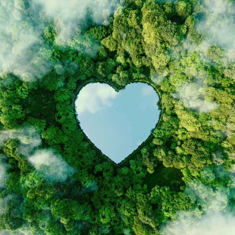 heart-shaped-lake-middle-untouched-nature-concept-illustrating-issues-nature-conservation-bio-products-protection-forests-woodlands-general-3d-rendering